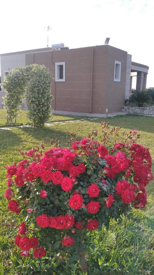 Kos Villa - Family Comfort With Large Garden, Jacuzzi エクステリア 写真